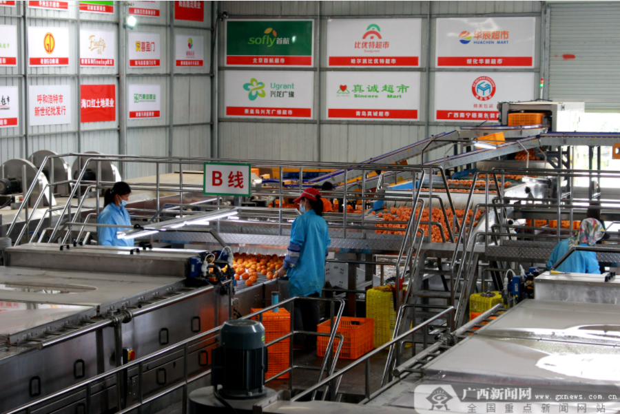 云观广西乡村振兴见闻（南宁篇）：读脱贫攻坚史 看柑橘致富路休闲区蓝鸢梦想 - Www.slyday.coM