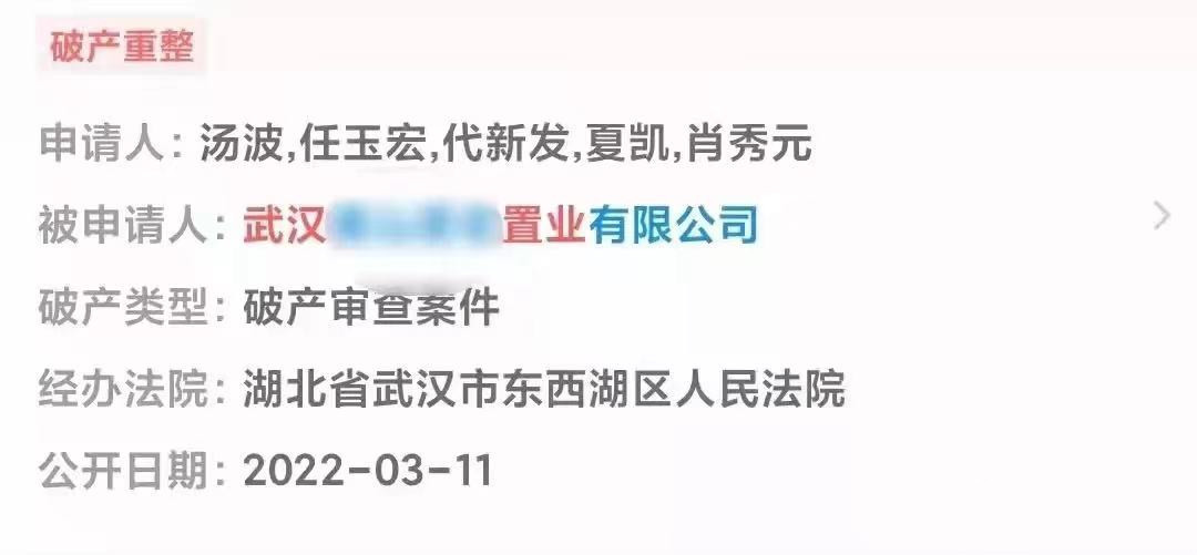 东西湖奥山圣宏置业申请破产重整