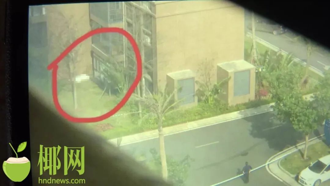 邓伦偷逃税被处罚并追缴1.06亿元休闲区蓝鸢梦想 - Www.slyday.coM