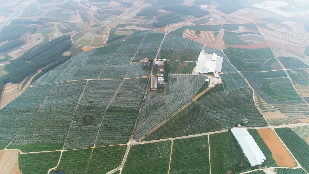 云观广西乡村振兴见闻（南宁篇）：读脱贫攻坚史 看柑橘致富路休闲区蓝鸢梦想 - Www.slyday.coM