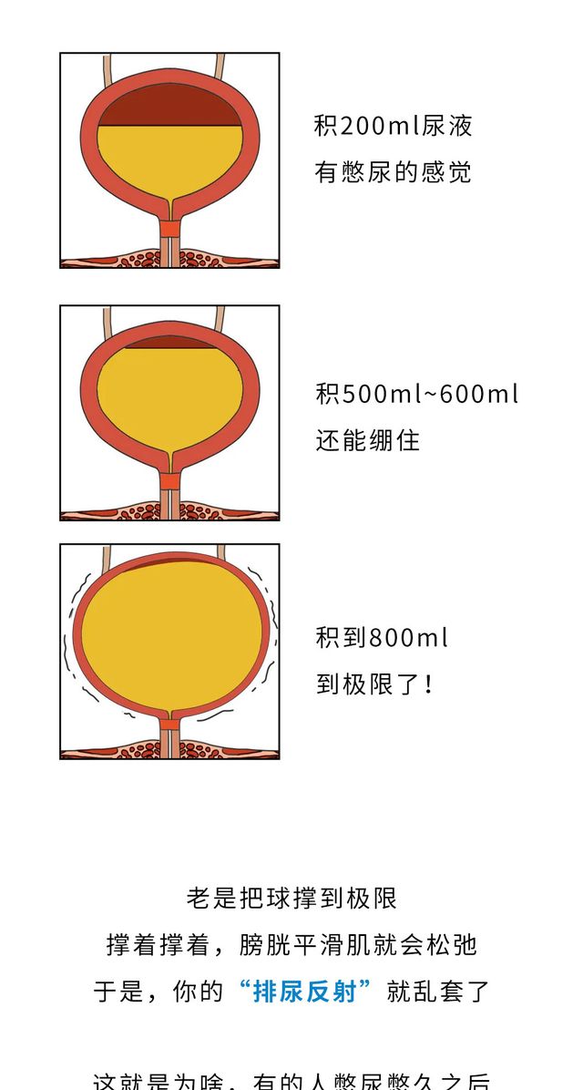憋屎、憋尿、憋屁,哪个对身体危害最大?一幅漫画为你揭秘休闲区蓝鸢梦想 - Www.slyday.coM 憋屎、憋尿、憋屁,哪个对身体危害最大?一幅漫画为你揭秘休闲区蓝鸢梦想 - Www.slyday.coM