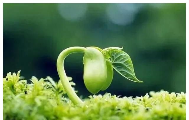 小男孩在幼儿园太受女生欢迎怎么办休闲区蓝鸢梦想 - Www.slyday.coM 小男孩在幼儿园太受女生欢迎怎么办休闲区蓝鸢梦想 - Www.slyday.coM