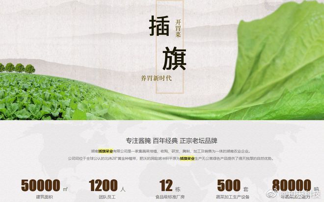 被央视315曝光的插旗菜业，其实身负不少光环……休闲区蓝鸢梦想 - Www.slyday.coM