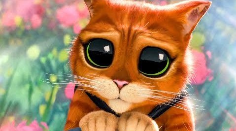 可可爱爱!《穿靴子的猫2》首支中字预告片释出!