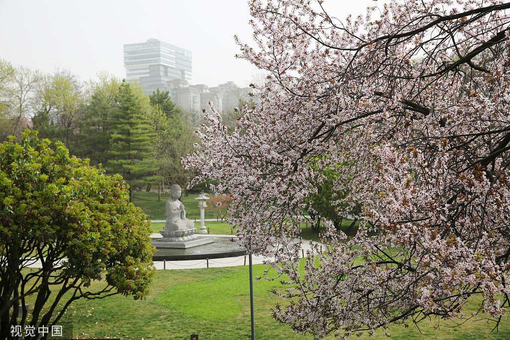 西安环城公园春天图片