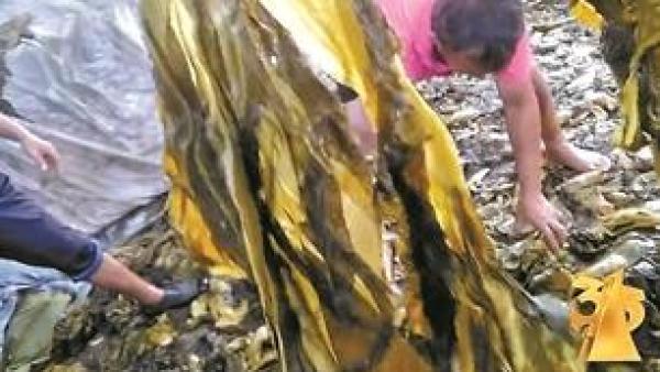 康师傅再发声明致歉：启动相关酸菜产品下架回收