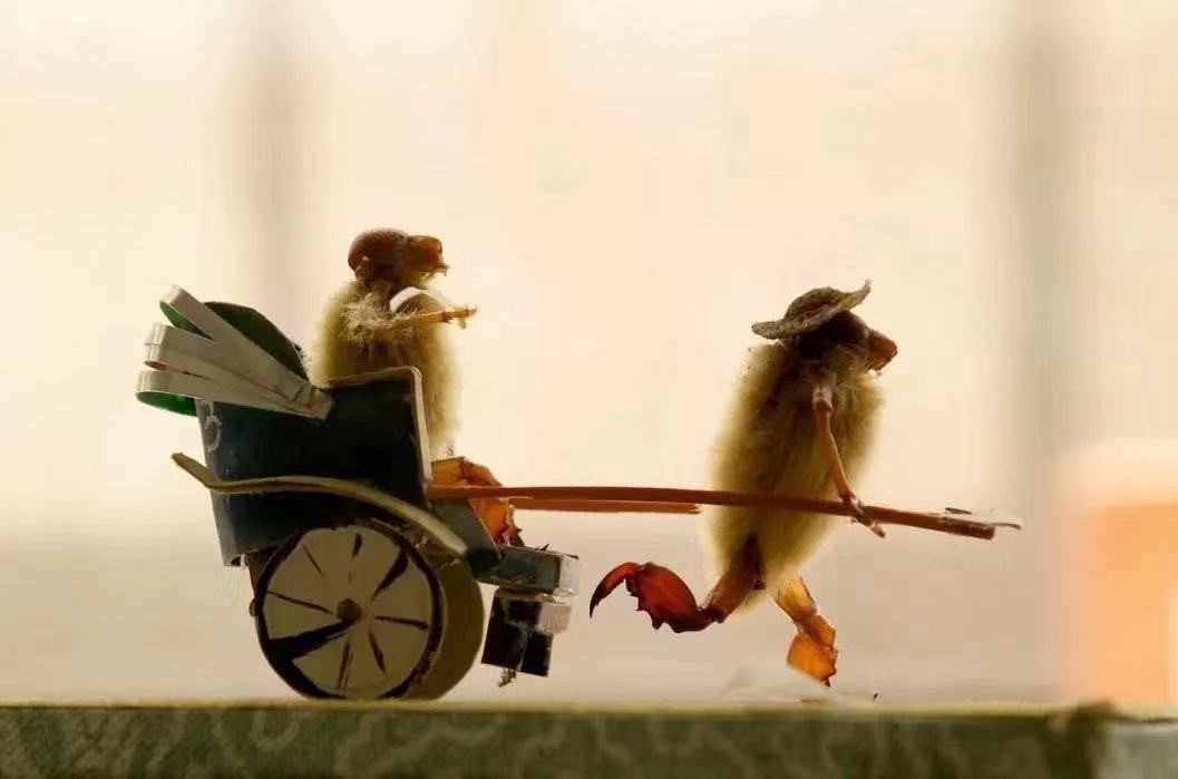 角楼图书馆非遗52日毛猴