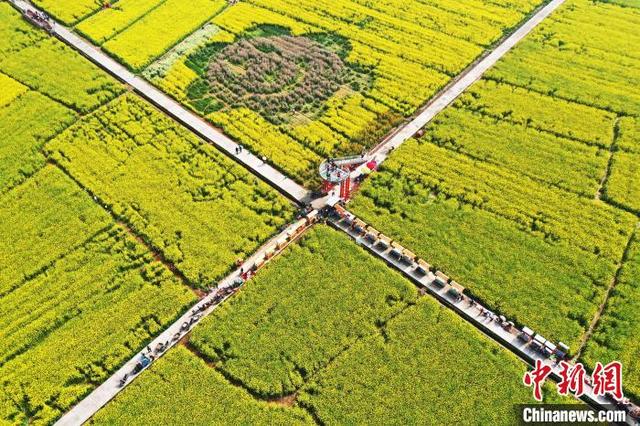 南昌安义县油菜花图片