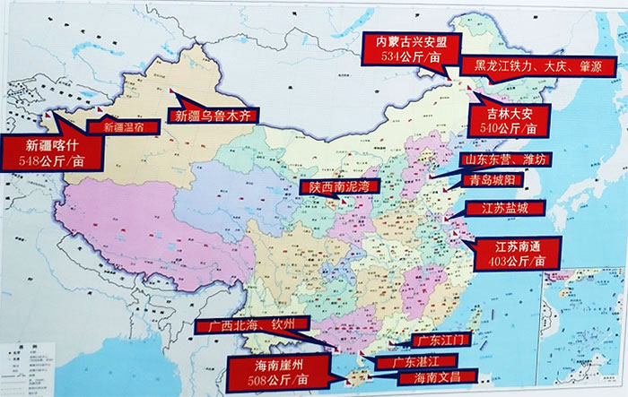 袁隆平院士重视的国家耐盐碱水稻技术创新中心在三亚挂牌