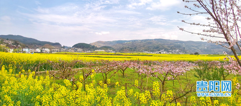 贵阳最大花卉种植基地图片