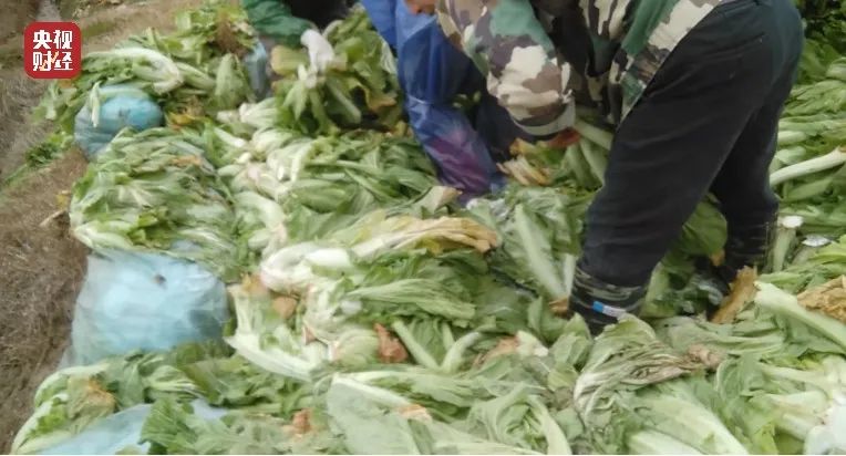 脚踩酸菜、乱扔烟头、防腐剂超量...湖南插旗菜业土坑腌制酸菜被曝光！休闲区蓝鸢梦想 - Www.slyday.coM