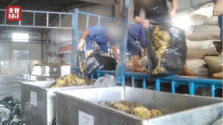 脚踩酸菜、乱扔烟头、防腐剂超量...湖南插旗菜业土坑腌制酸菜被曝光！休闲区蓝鸢梦想 - Www.slyday.coM