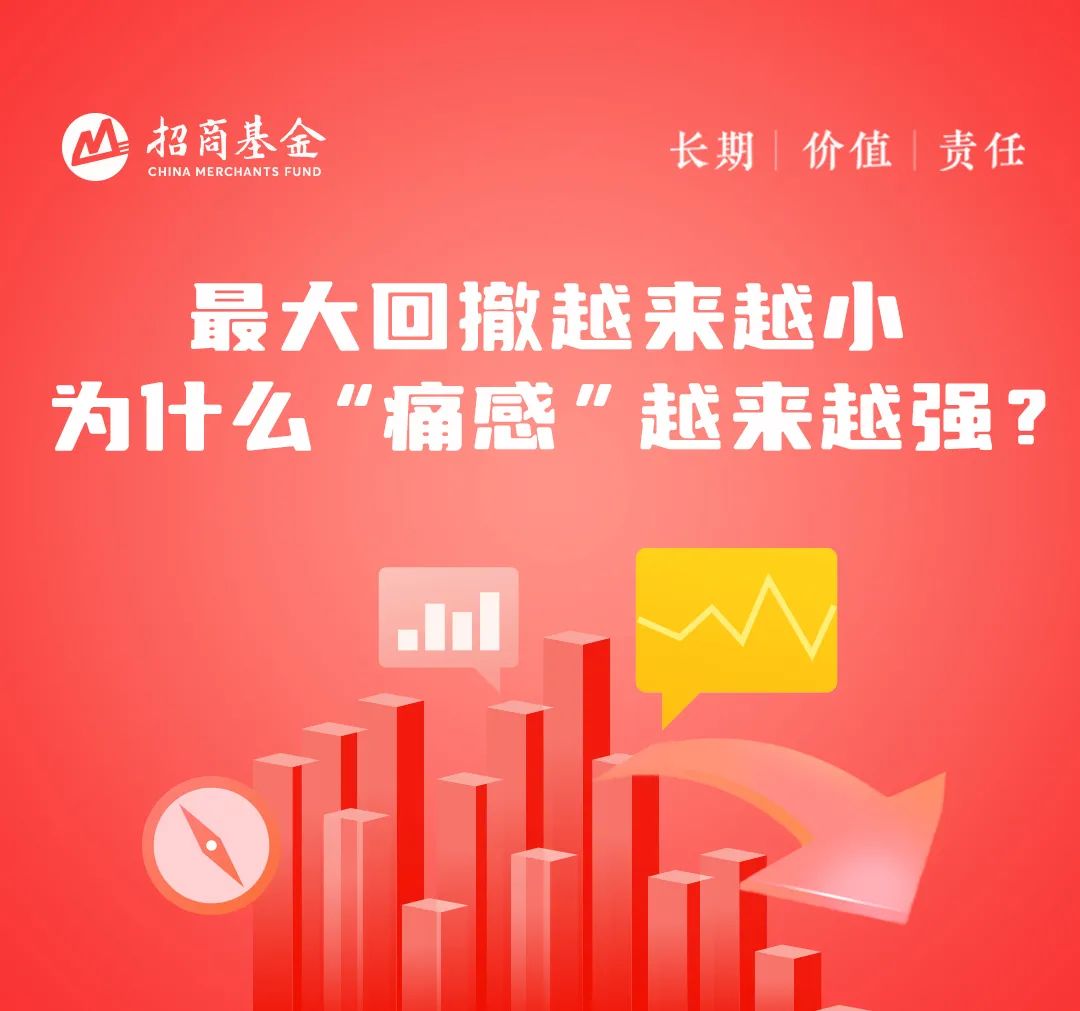 “最大回撤越来越小，为什么“痛感”越来越强？