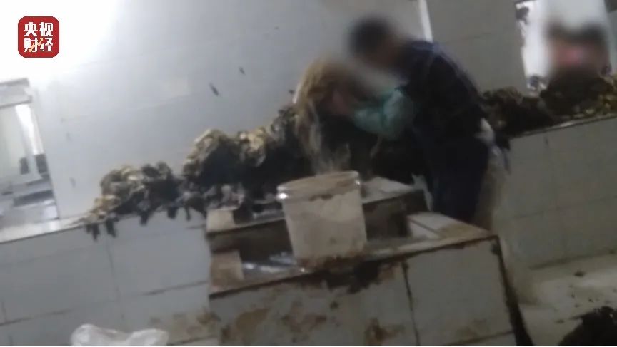 脚踩酸菜、乱扔烟头、防腐剂超量...湖南插旗菜业土坑腌制酸菜被曝光！休闲区蓝鸢梦想 - Www.slyday.coM