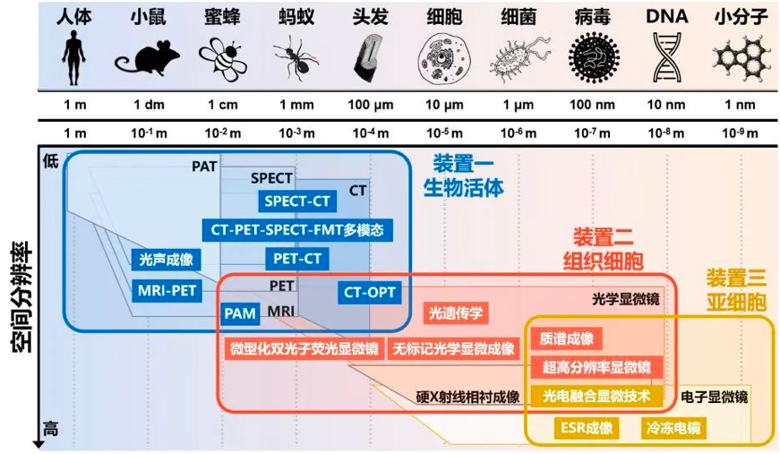 多模态跨尺度系统设计。图片来源于北京大学