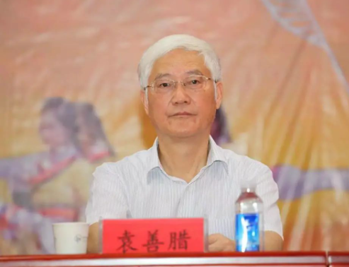 武汉市原常务副市长袁善腊被查