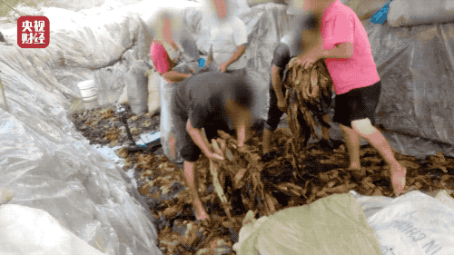 持续更新丨3·15曝光的“土坑酸菜”后续：相关人员被控制，康师傅再道歉……休闲区蓝鸢梦想 - Www.slyday.coM