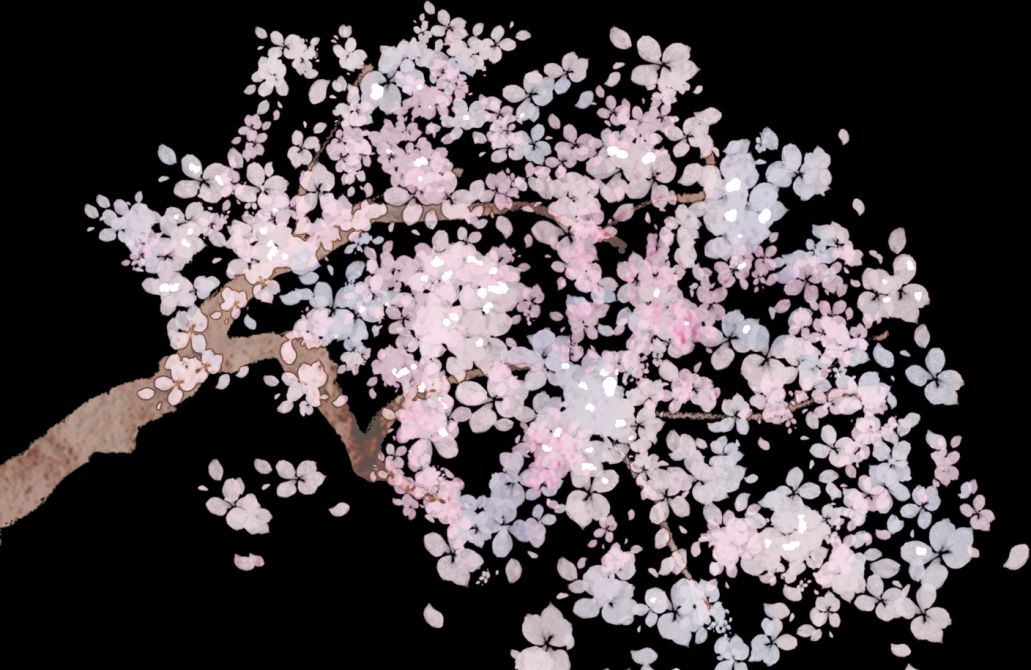 楚国为何能够由弱变强？这也是关于人生的秘密休闲区蓝鸢梦想 - Www.slyday.coM