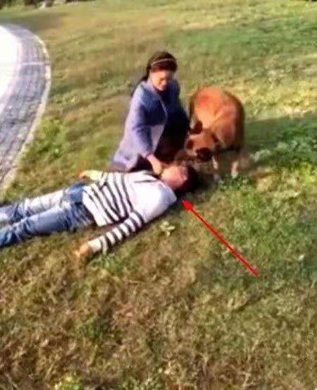 男子路边一动不动，接下来狗狗的行为，将他从生死门拉了回来休闲区蓝鸢梦想 - Www.slyday.coM