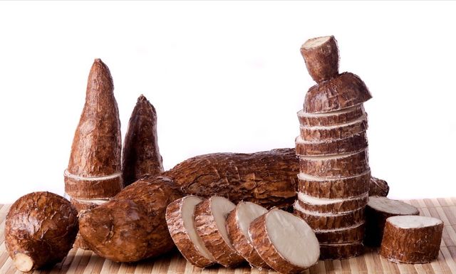 面包木薯有毒吗 新浪网