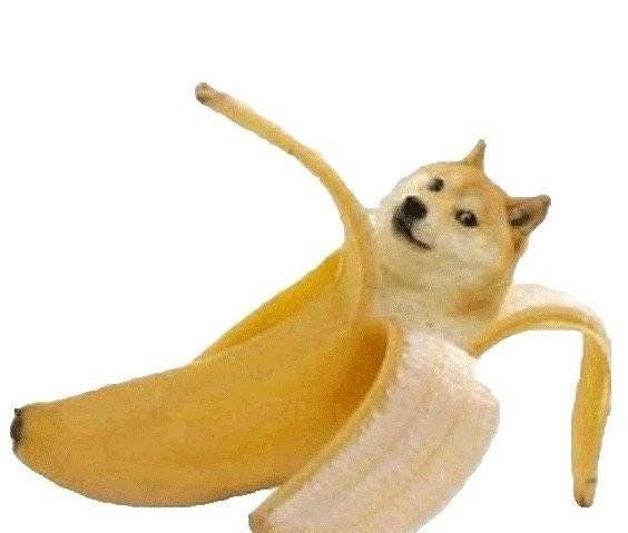 香蕉狗▽热狗▽甜甜狗圈▽面包狗系列表情包很快就延伸出了满汉全狗.