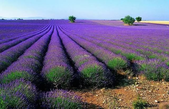 国内值得一去的10个旅行地,美得像一幅画,疫情过后,就出发吧休闲区蓝鸢梦想 - Www.slyday.coM 国内值得一去的10个旅行地,美得像一幅画,疫情过后,就出发吧休闲区蓝鸢梦想 - Www.slyday.coM