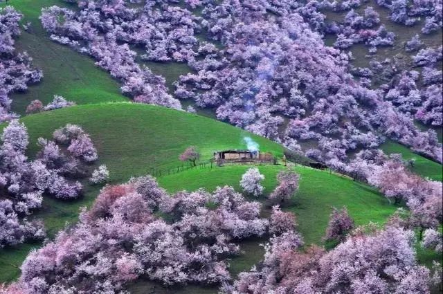 国内值得一去的10个旅行地,美得像一幅画,疫情过后,就出发吧休闲区蓝鸢梦想 - Www.slyday.coM 国内值得一去的10个旅行地,美得像一幅画,疫情过后,就出发吧休闲区蓝鸢梦想 - Www.slyday.coM