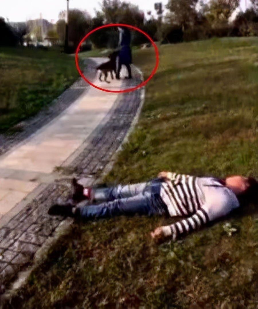 男子路边一动不动，接下来狗狗的行为，将他从生死门拉了回来休闲区蓝鸢梦想 - Www.slyday.coM