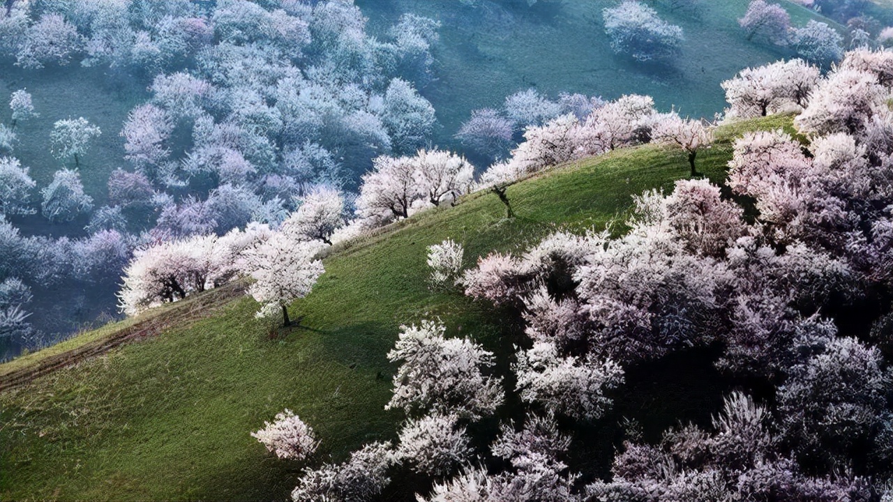 国内值得一去的10个旅行地,美得像一幅画,疫情过后,就出发吧休闲区蓝鸢梦想 - Www.slyday.coM 国内值得一去的10个旅行地,美得像一幅画,疫情过后,就出发吧休闲区蓝鸢梦想 - Www.slyday.coM