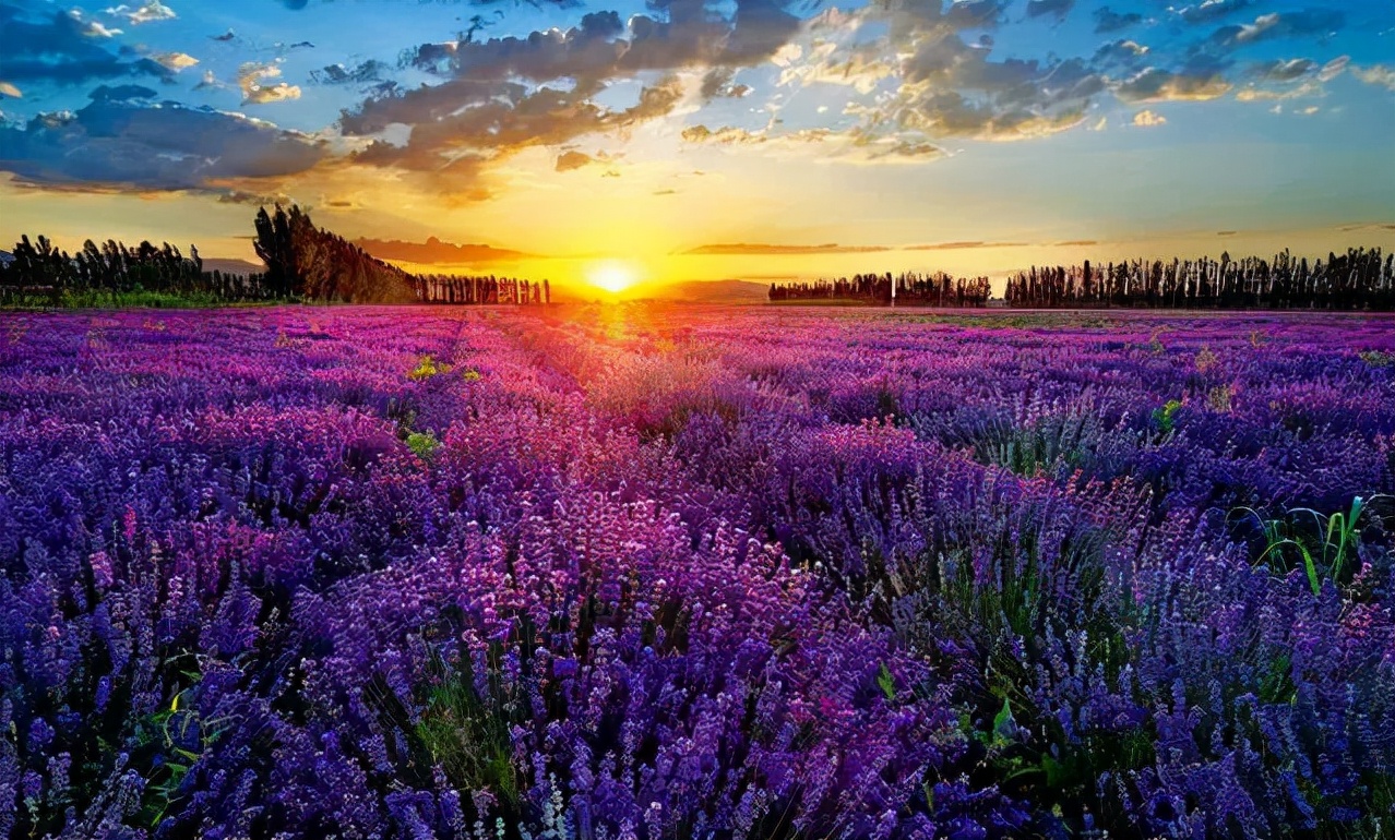 国内值得一去的10个旅行地,美得像一幅画,疫情过后,就出发吧休闲区蓝鸢梦想 - Www.slyday.coM 国内值得一去的10个旅行地,美得像一幅画,疫情过后,就出发吧休闲区蓝鸢梦想 - Www.slyday.coM