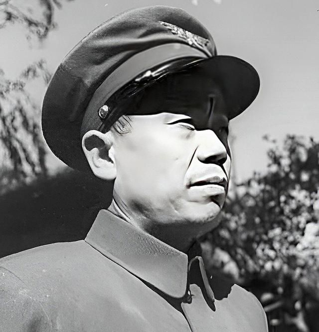 1976年叶帅问许世友能否指挥动南京军区许世友司令是我保镖