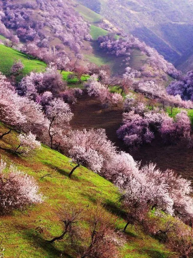 国内值得一去的10个旅行地,美得像一幅画,疫情过后,就出发吧休闲区蓝鸢梦想 - Www.slyday.coM 国内值得一去的10个旅行地,美得像一幅画,疫情过后,就出发吧休闲区蓝鸢梦想 - Www.slyday.coM