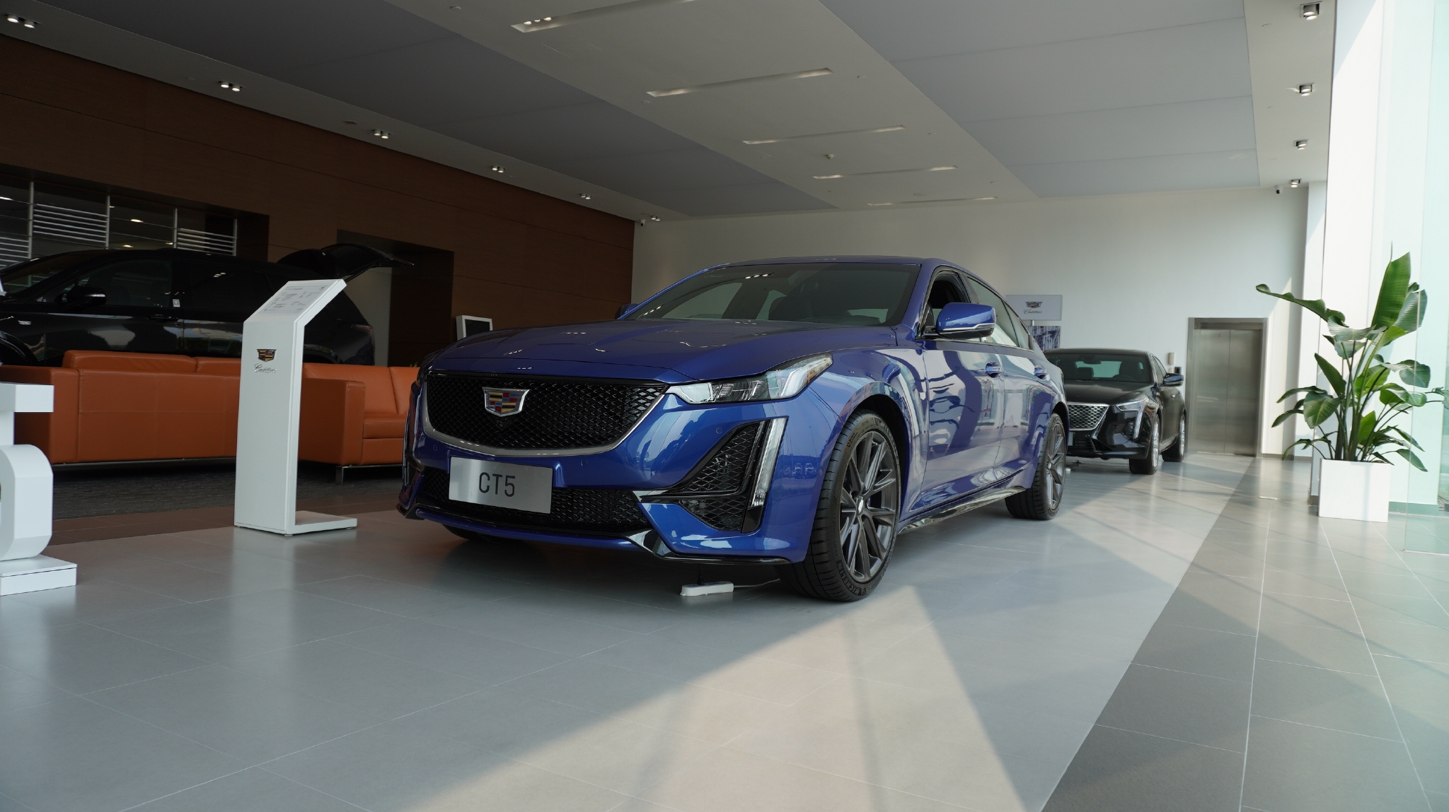 别硬着头皮上“34C”！推荐四款合资中型车，性价比超高