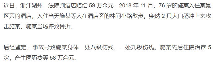 又惨又好笑！男子在南师大湖中游泳被黑天鹅制裁，惹谁也别惹鹅啊！休闲区蓝鸢梦想 - Www.slyday.coM