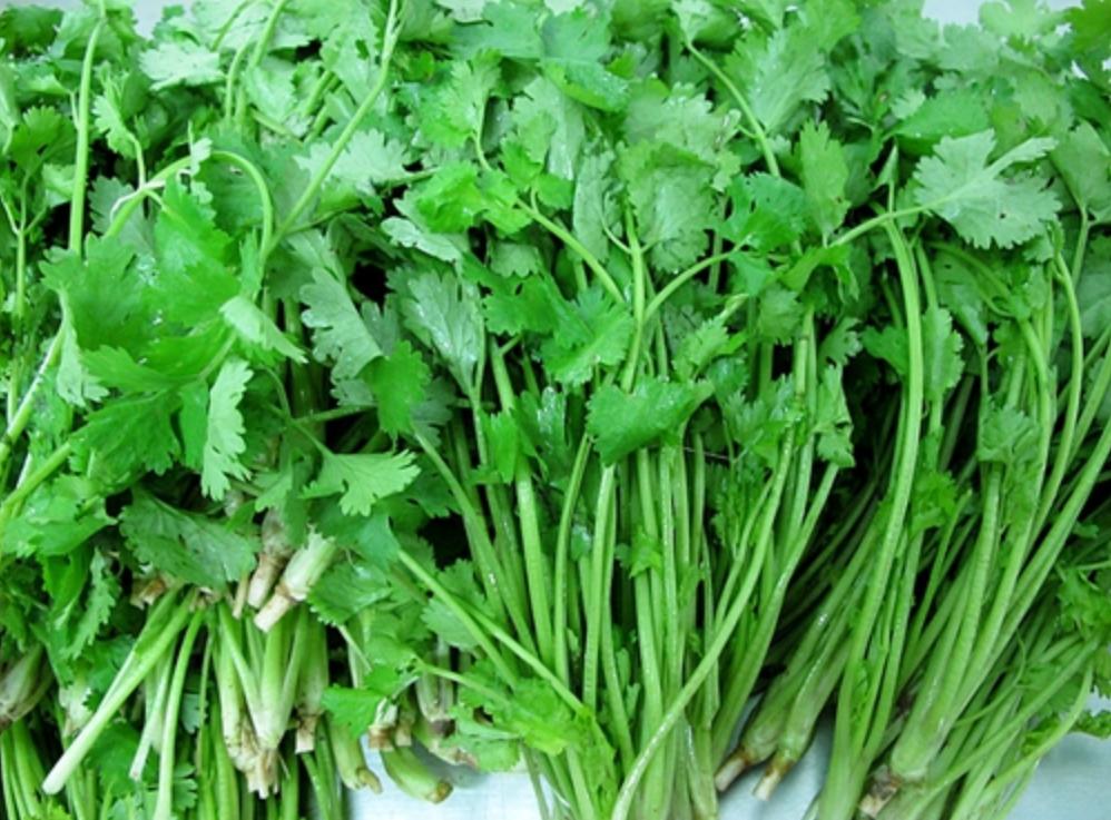 为什么那么多人不爱吃香菜