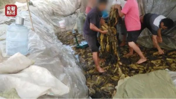 E句话看天下丨大气！深圳房东给72户隔离租客发钱休闲区蓝鸢梦想 - Www.slyday.coM