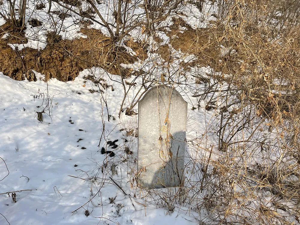 漆黔生的墓地,如今满是荒草.