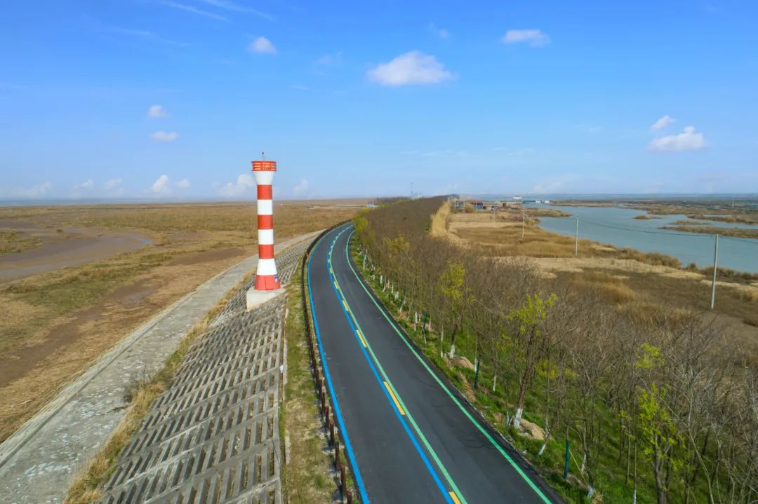 盐城最美旅游公路揭开面纱