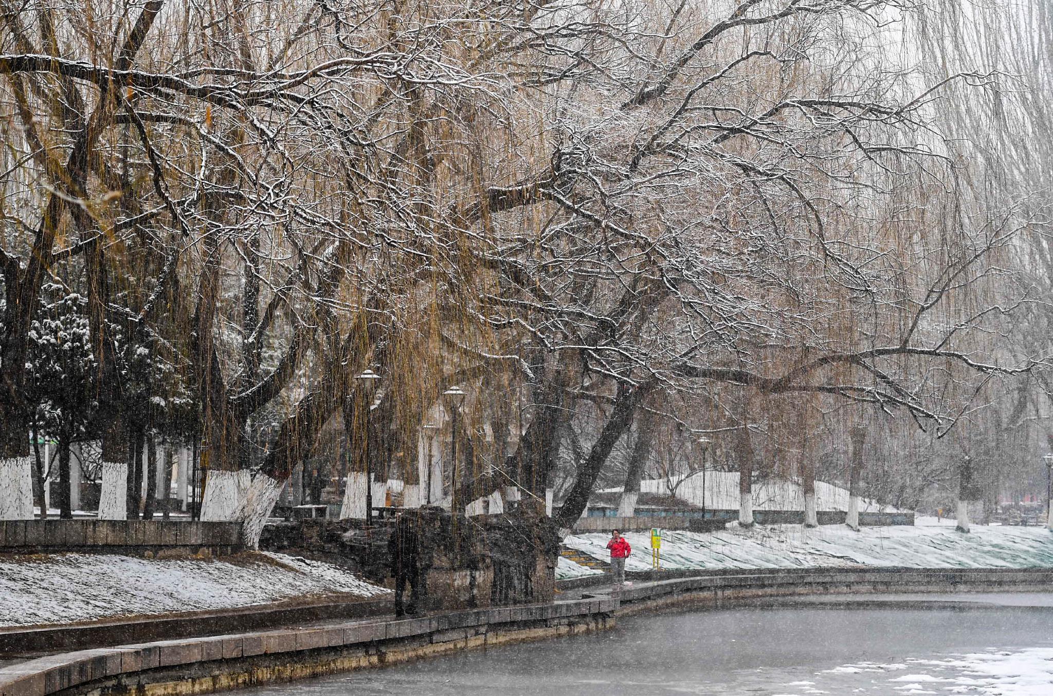 塞外初春迎飞雪|满都海公园|呼和浩特市|雪景_新浪新闻