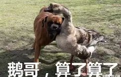 又惨又好笑！男子在南师大湖中游泳被黑天鹅制裁，惹谁也别惹鹅啊！休闲区蓝鸢梦想 - Www.slyday.coM