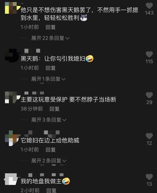 又惨又好笑！男子在南师大湖中游泳被黑天鹅制裁，惹谁也别惹鹅啊！休闲区蓝鸢梦想 - Www.slyday.coM