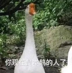 又惨又好笑！男子在南师大湖中游泳被黑天鹅制裁，惹谁也别惹鹅啊！休闲区蓝鸢梦想 - Www.slyday.coM