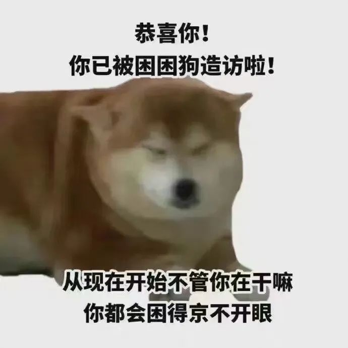 E句话看天下丨大气！深圳房东给72户隔离租客发钱休闲区蓝鸢梦想 - Www.slyday.coM