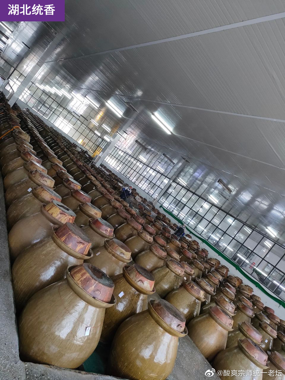 统一晒酸菜包生产工厂照片不是土坑酸菜消费者可参观