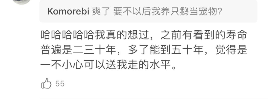 又惨又好笑！男子在南师大湖中游泳被黑天鹅制裁，惹谁也别惹鹅啊！休闲区蓝鸢梦想 - Www.slyday.coM
