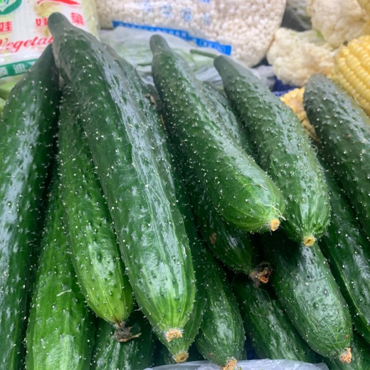 江苏常州：“平价超市”保障疫情防控期间“百姓菜篮”休闲区蓝鸢梦想 - Www.slyday.coM