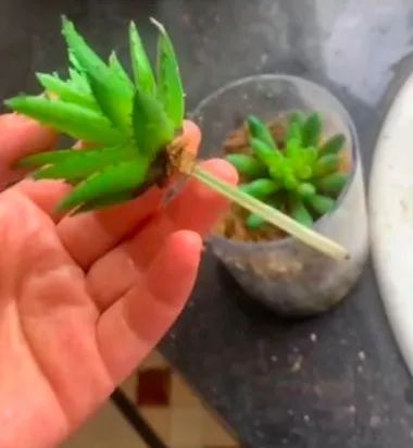 E句话看天下丨大气！深圳房东给72户隔离租客发钱休闲区蓝鸢梦想 - Www.slyday.coM