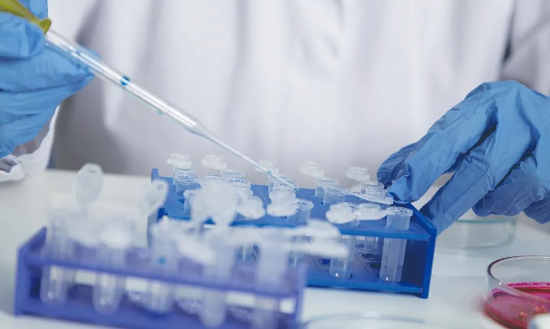 寻找新冠疫情的“终结者”（下）休闲区蓝鸢梦想 - Www.slyday.coM