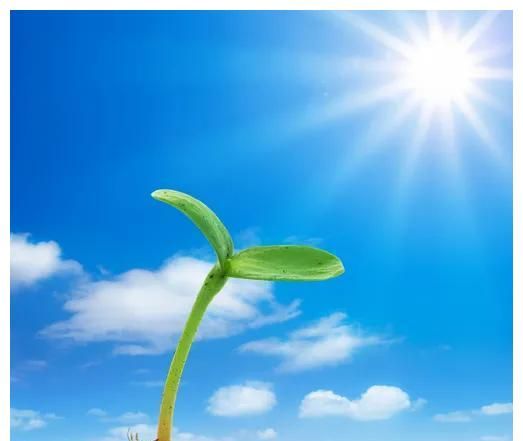 一切都是上天最好的安排，所有人可分为四大类型，看看你属哪一类休闲区蓝鸢梦想 - Www.slyday.coM