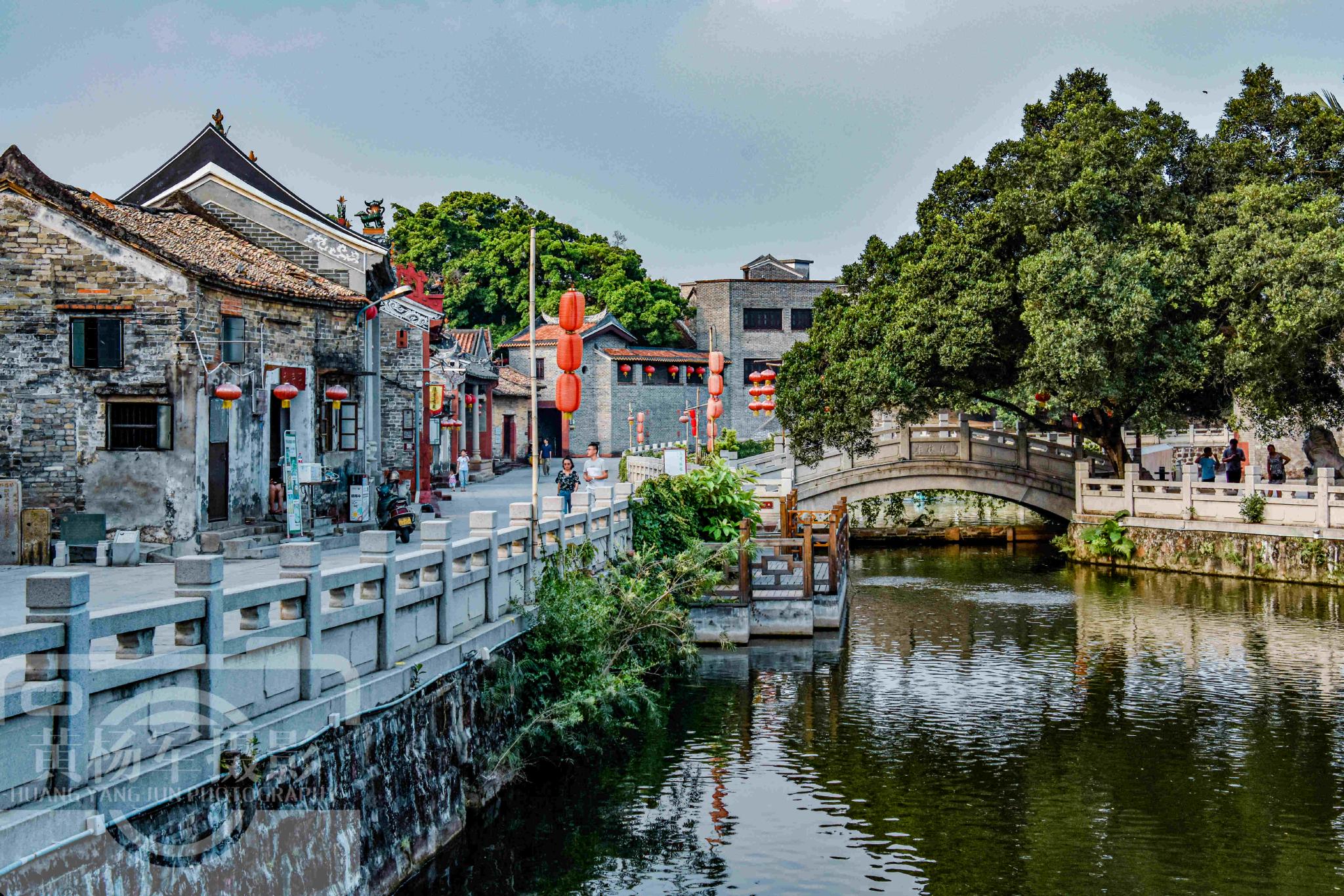 广东最具岭南风格的古村有500年的古树近10棵远离闹市很清幽